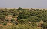 TANZANIA - Lake Manyara National Park - 34